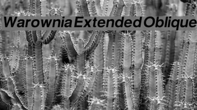 Warownia Extended Oblique  examples