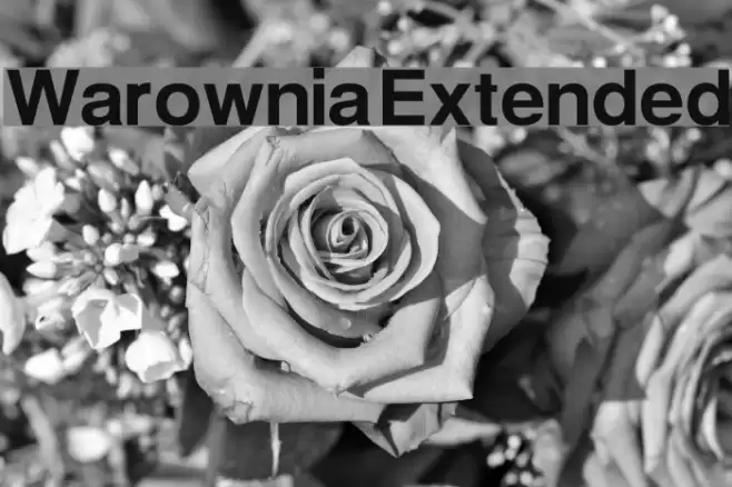 Warownia Extended Font examples