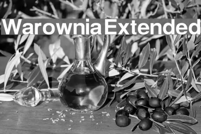 Warownia Extended Font examples