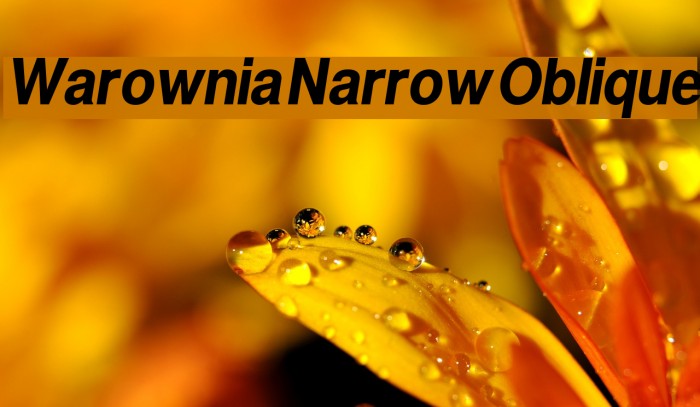 Warownia Narrow Oblique Font examples
