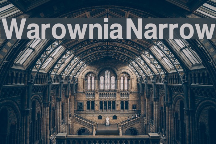 Warownia Narrow Font examples