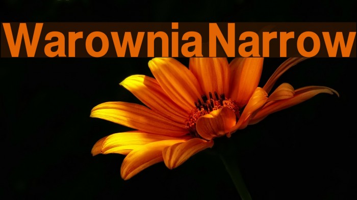 Warownia Narrow Font examples