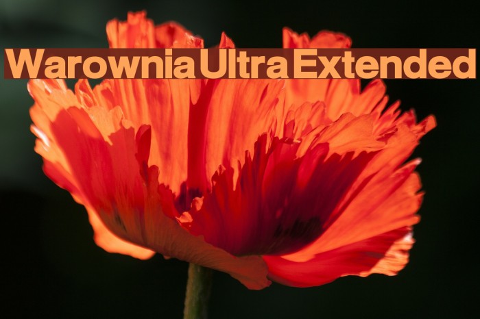Warownia Ultra Extended Font examples