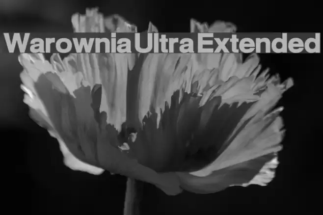 Warownia Ultra Extended Font examples