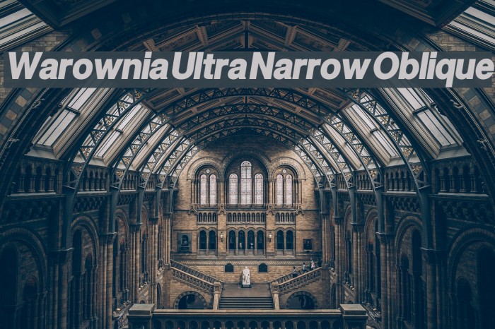 Warownia Ultra Narrow Oblique Font examples