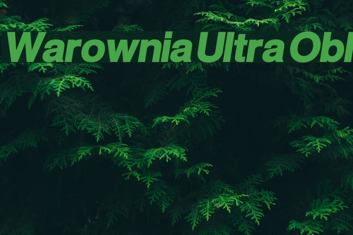 Warownia Ultra Obl Font examples