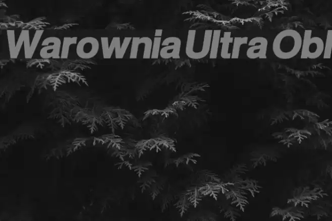 Warownia Ultra Obl  examples