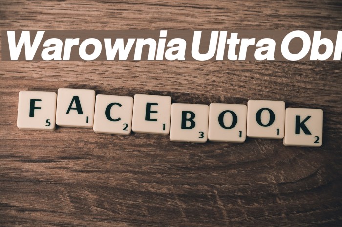 Warownia Ultra Obl Font examples