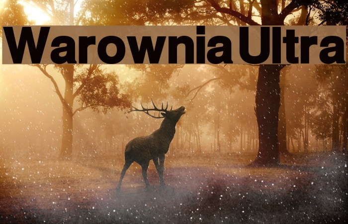 Warownia Ultra Font examples