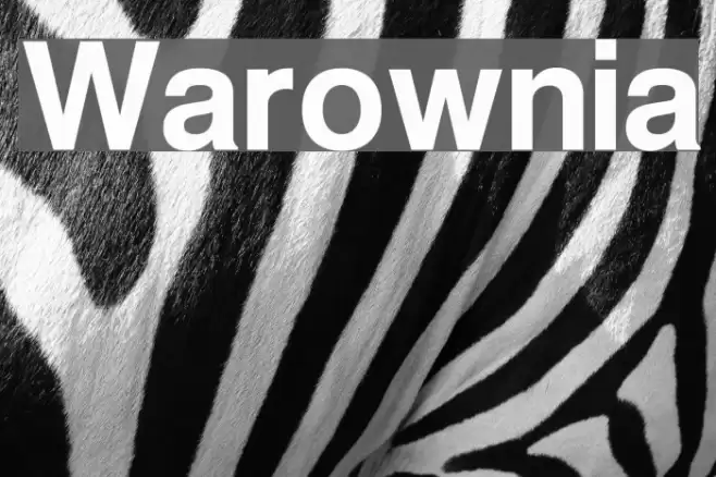 Warownia Font examples