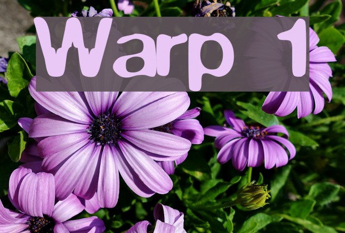 Warp 1 Font examples