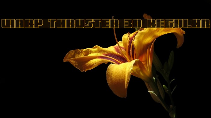 Warp Thruster 3D Regular Font examples