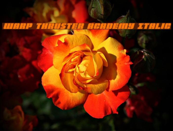 Warp Thruster Academy Italic Font examples