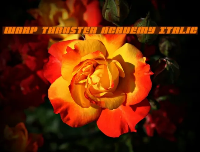 Warp Thruster Academy Italic Example 2