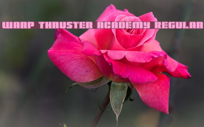 Warp Thruster Academy Regular Font examples