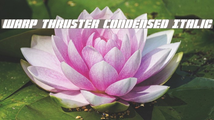 Warp Thruster Condensed Italic Font examples