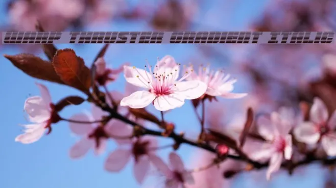 Warp Thruster Gradient Italic Example 2