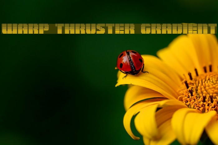 Warp Thruster Gradient Example 3