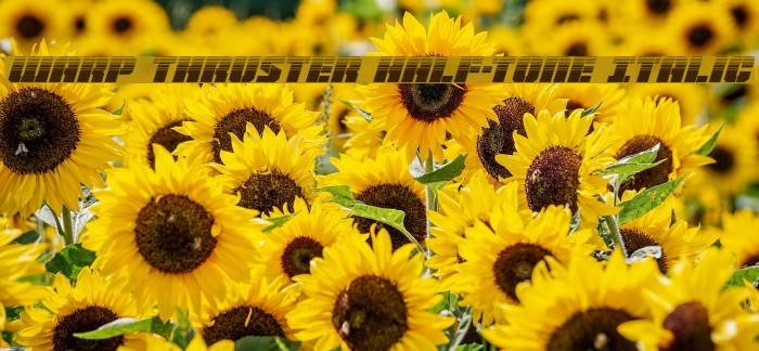 Warp Thruster Half-Tone Italic Example 1