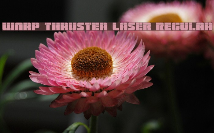 Warp Thruster Laser Regular Font examples