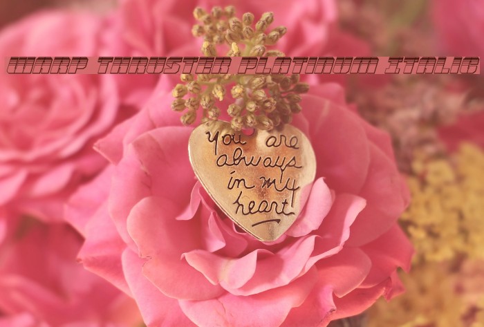 Warp Thruster Platinum Italic Example 2