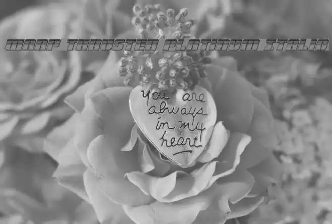 Warp Thruster Platinum Italic Font examples