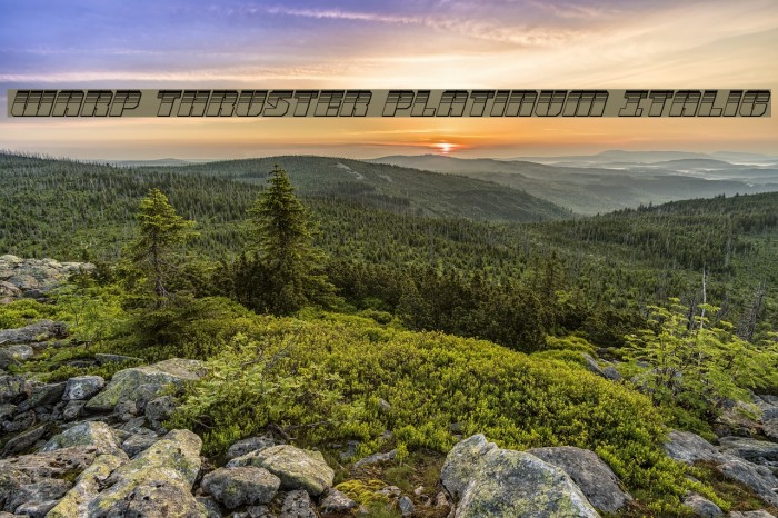 Warp Thruster Platinum Italic Example 3