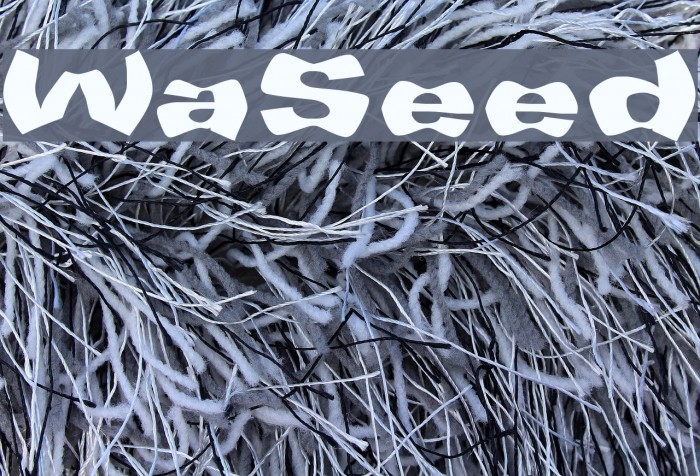 WarpSpeed Font examples