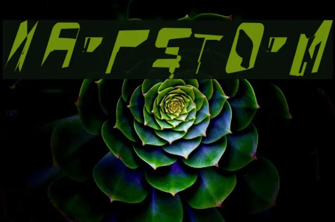 WarpStorm Example 2