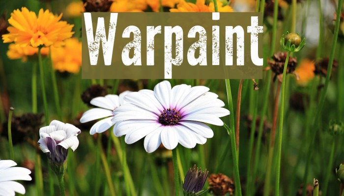 Warpaint Font examples