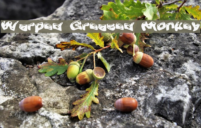 Warped Greased Monkey Example 1