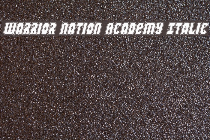 Warrior Nation Academy Italic Font examples