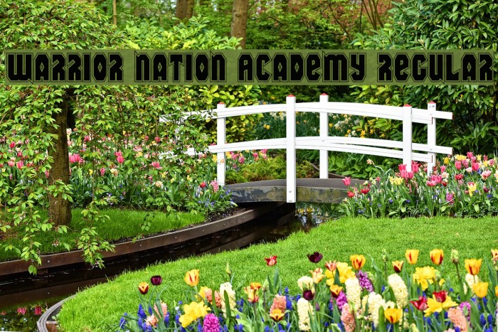 Warrior Nation Academy Regular Font examples