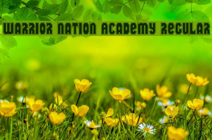 Warrior Nation Academy Regular Font examples