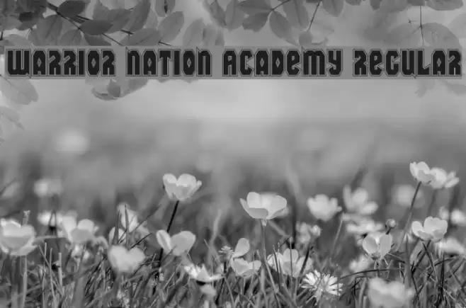 Warrior Nation Academy Regular Font examples