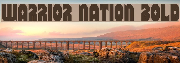 Warrior Nation Bold Font examples
