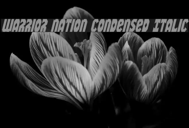 Warrior Nation Condensed Italic Font examples
