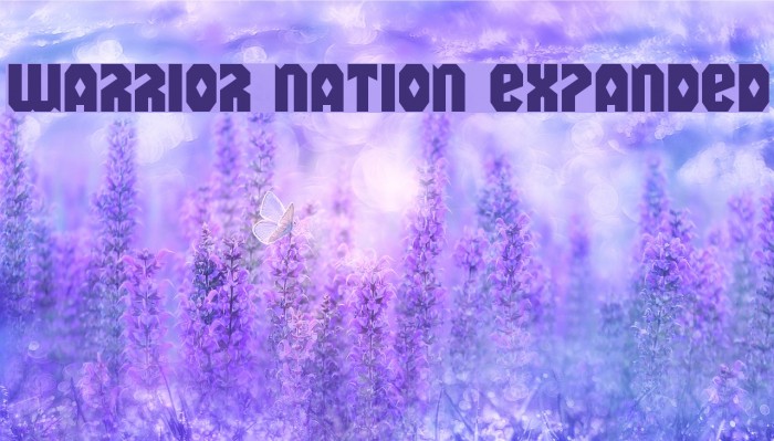 Warrior Nation Expanded Font examples