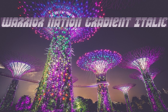 Warrior Nation Gradient Italic Example 3