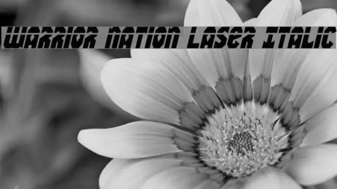 Warrior Nation Laser Italic Font examples