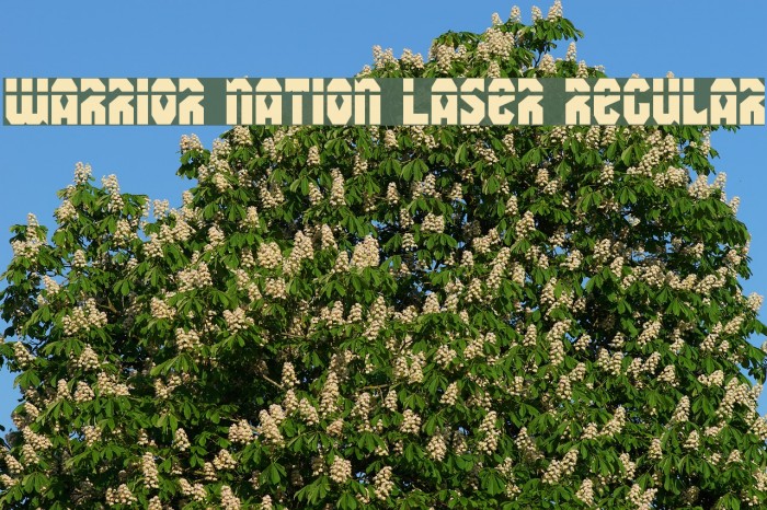 Warrior Nation Laser Regular Font examples