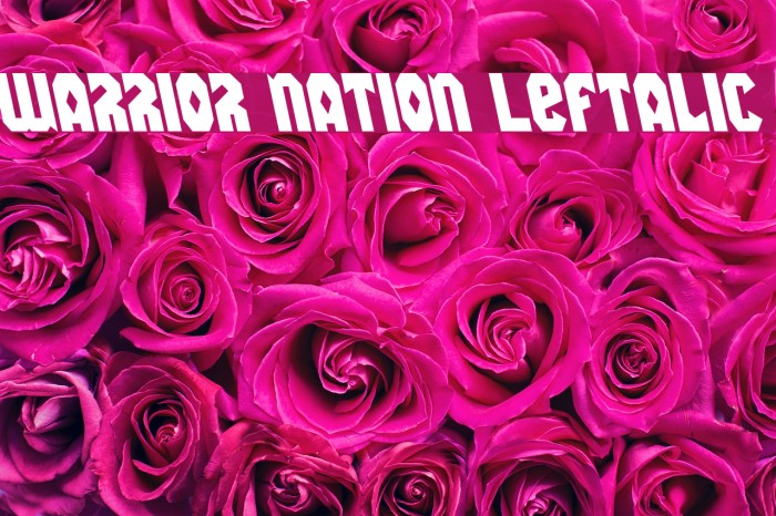 Warrior Nation Leftalic Font examples
