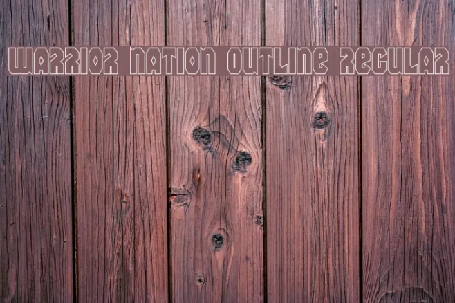 Warrior Nation Outline Regular Example 1
