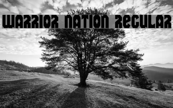 Warrior Nation Regular Font examples