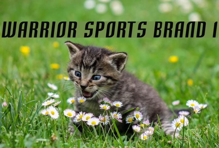 Warrior Sports Brand 1 Font examples