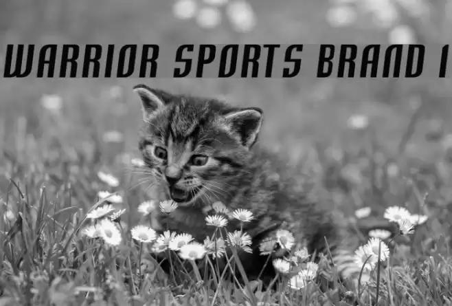 Warrior Sports Brand 1 フォント examples