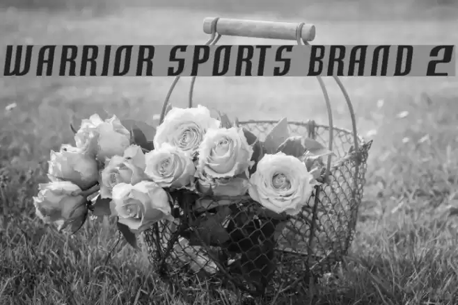 Warrior Sports Brand 2 Font examples