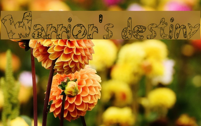 Warrior's Destiny Font examples