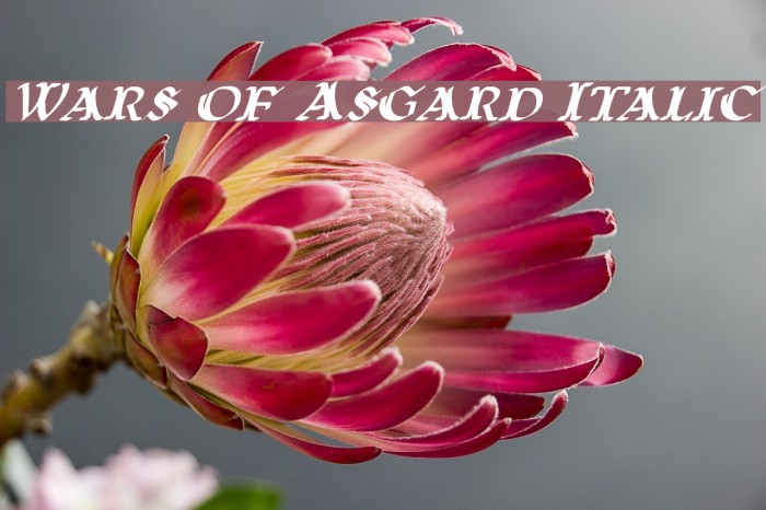 Wars of Asgard Italic Font examples