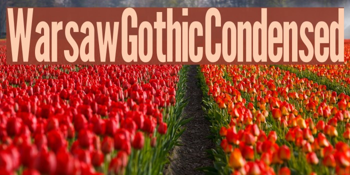 Warsaw Gothic Condensed Font examples